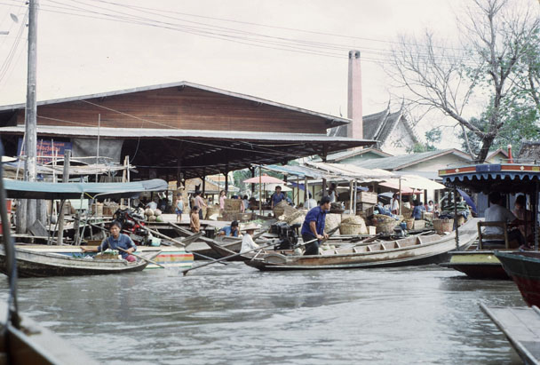 Busy Boats in the Marketplace