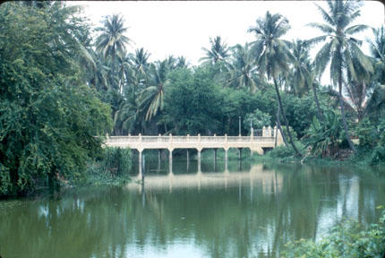 Picturesque Bridge