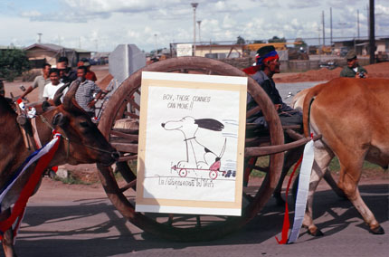 Ox Cart with Cartoon Sign