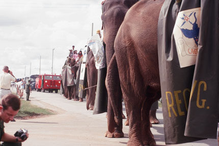 Fire Engine and Elephants