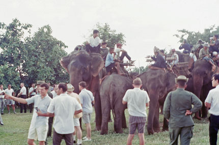Elephants and Cameramen